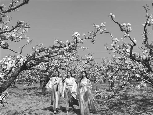 梨花烂漫、蜂飞蝶舞,一派春意盎然